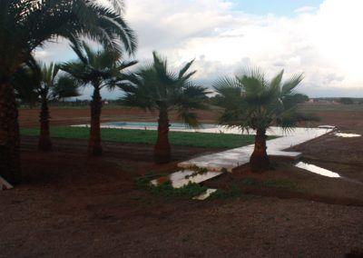 Piscina Obra Nueva Campos